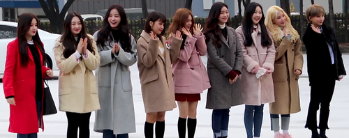 모모랜드